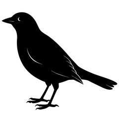 Bird Silhouette vector illustration