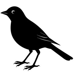 Obraz premium Bird Silhouette vector illustration