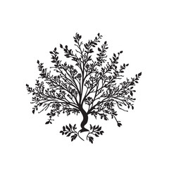 Obraz premium Silhouette_of_an_isolated_flower_and_branches