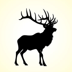 Elk vector silhouette with white background