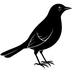 Blackbird Silhouette vector illustration
