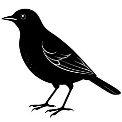 Blackbird Silhouette vector illustration