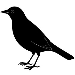 Blackbird Silhouette vector illustration
