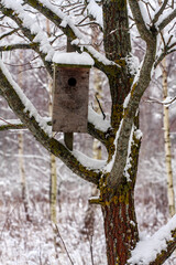 Birdhouse on Snow-Covered Tree in a Winter Forest Landscape