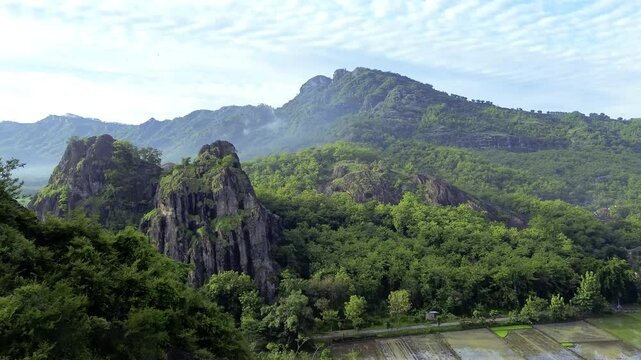 aerial view of ancient limestone rocky mountains, cliffs, and green trees with morning mist surrounded by rice fields. towering rocky hill of Sepikul mountain in Indonesia. 