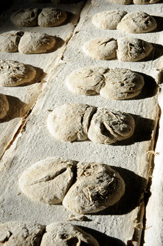 ur parl or rye bread in pairs from south tyrol in northern italy in Valvenosta.