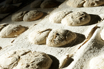 ur parl or rye bread in pairs from south tyrol in northern italy in Valvenosta.