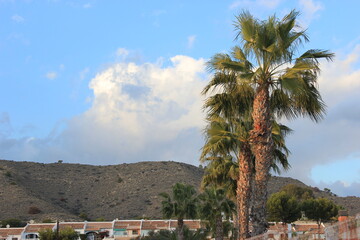 Fototapeta premium view of the hills