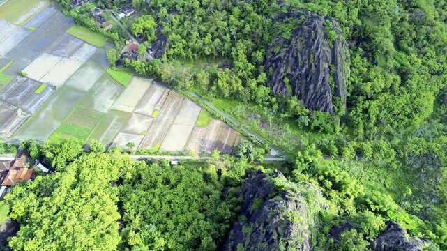 aerial view of ancient limestone rocky mountains, cliffs, and green trees with morning mist surrounded by rice fields. towering rocky hill of Sepikul mountain in Indonesia. 