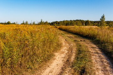 Dirt road going through a grassy field