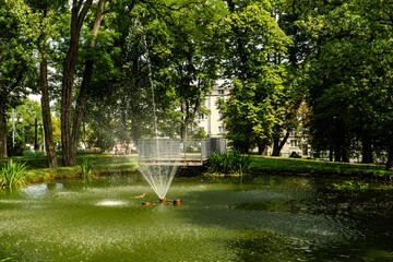 Fototapety na wymiar - Fototapeta24.pl