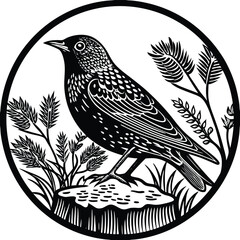 Obraz premium Martin vector silhouette, isolated white background