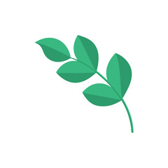 eucalyptus-leaf vector