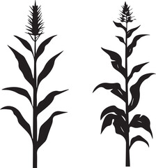 Naklejka premium Silhouette of corn stalk with ears of corn leave
