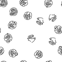 urology prostate urinary kidney vector seamless pattern thin line illustration