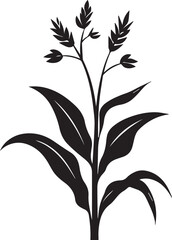 Silhouette of corn stalk with ears of corn leave