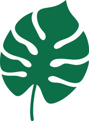 illustration of a green leaf