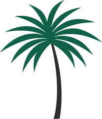 palm tree silhouette