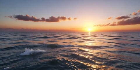 Obraz premium White particles scattered on a calm sea surface at sunset , beach, water, sea