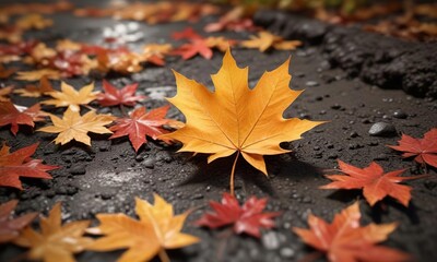 A delicate maple leaf floating gently to the ground, natural world, changing seasons, autumn colors