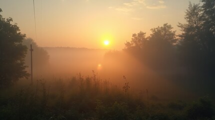 Naklejka premium Fog in nature, cities and villages with misty forest landscape 
