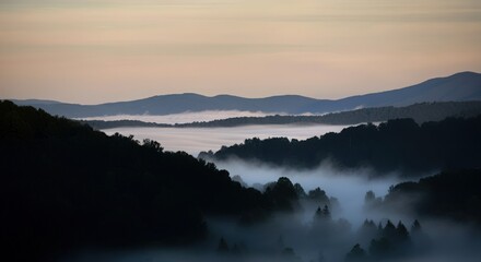 Obraz premium Fog in nature, cities and villages with misty forest landscape