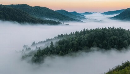 Fototapeta premium Fog in nature, cities and villages with misty forest landscape