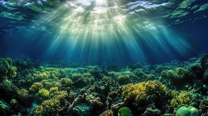 Fototapeta premium Captivating 3D Underwater Scene with Coral Gardens, Fish Schools, and Sunlight Beams