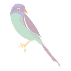 Colorful bird icon