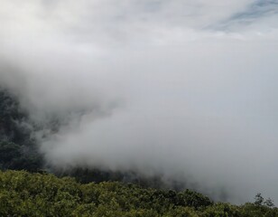 Fototapeta premium Fog in nature, cities and villages with misty forest landscape 