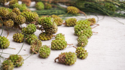 Green pine cones on a wooden table