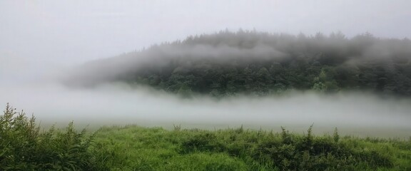 Fototapeta premium Fog in nature, cities and villages with misty forest landscape 