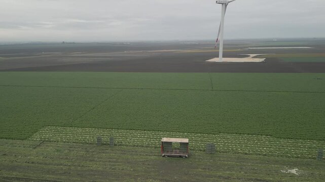 drone. vista su pale eoliche in campi di agricoltura

