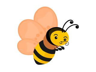 Butterfly on a white background.