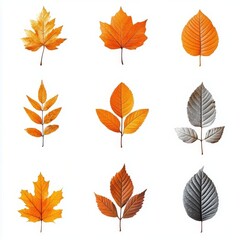 Obraz premium Colorful autumn leaves arranged in a grid showcasing various shapes and textures
