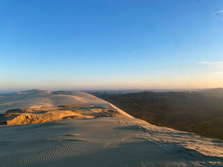 Dune du Pilat at sunrise, with the soft light illuminating the vast sandy landscape and creating a serene, natural atmosphere