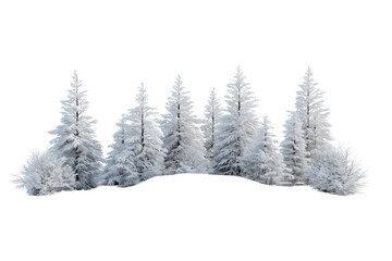 Obraz premium a snow-covered fir trees in a winter forest isolated on a transparent background