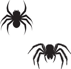 Spider silhouette black vector on white background
