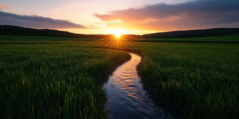 Serene sunset over a tranquil stream flowing through a lush green field.