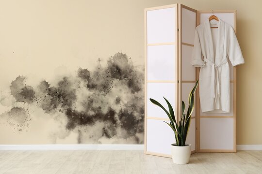 Interior of bathroom with folding screen and mold on wall