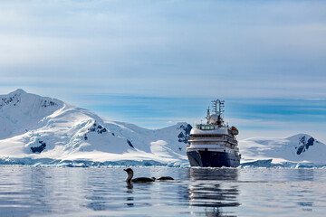 Cruising Ship in the Antarctic Area	