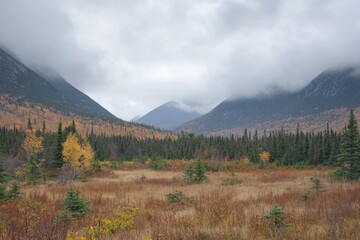 Obraz premium a landscape view of mountains and a field with autumn colors