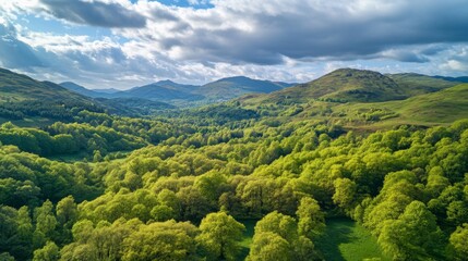 Fototapeta premium A breathtaking aerial view of lush green valleys and rolling hills. Nature reveals its beauty through vibrant colors and scenic landscapes. Generative AI