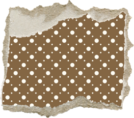 torn paper pattern isolated on white background