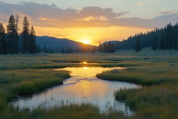 Fototapeta premium Golden sunset illuminating a serene mountain meadow and stream
