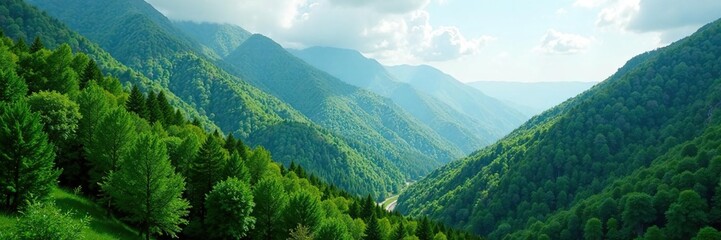 Obraz premium Lush green forest covers mystical mountain slopes, green, trees, forest