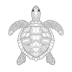 Fototapeta premium Cute turtle coloring page for children with intricate patterns ready for creativity