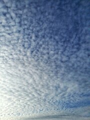 Obraz premium blue sky background