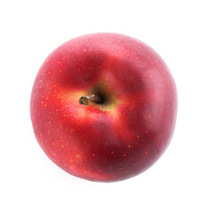 One ripe red apple isolated on white, top view