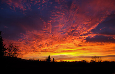 sunset in the forest